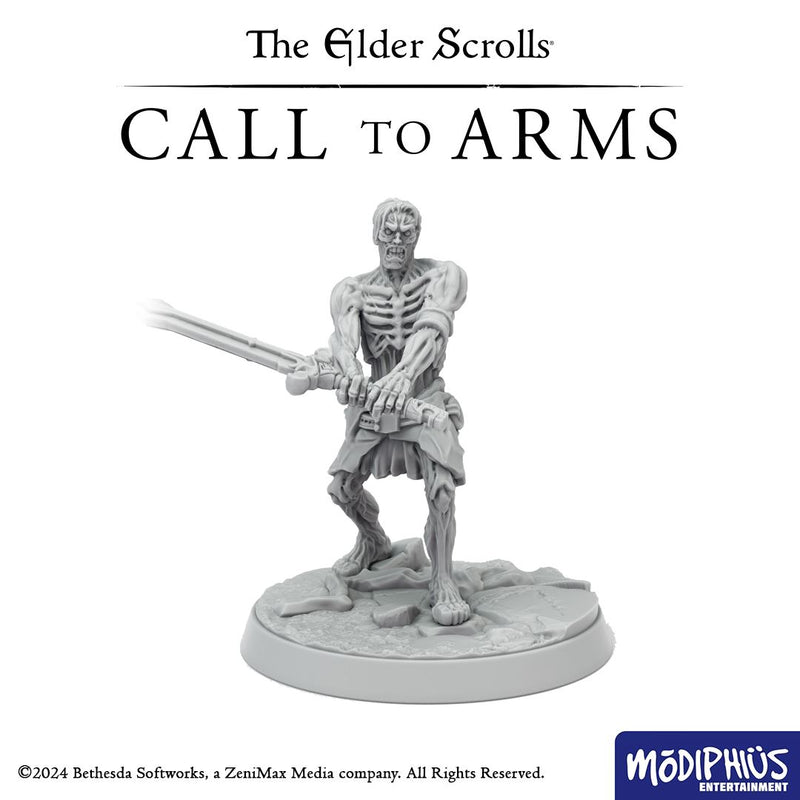 The Elder Scrolls: Call to Arms - Print at Home - Bleak Falls Barrow Delve The Elder Scrolls: Call to Arms Modiphius Entertainment 
